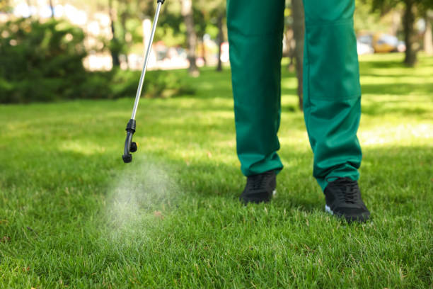 Best Pest Control for Businesses  in Inniswold, LA